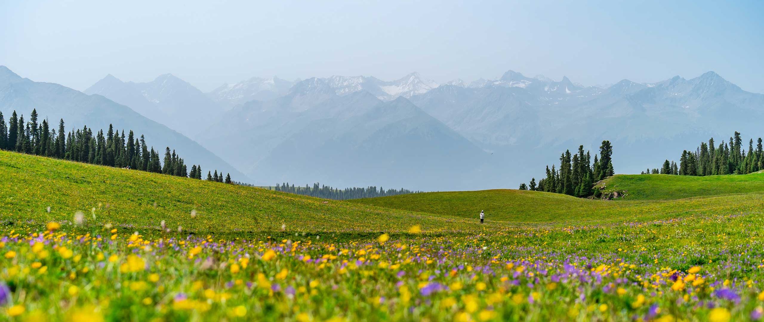 Φαρμακευτικά - Καλλυντικά