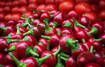 CAPSICUM