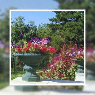 Ζαρτινιέρες