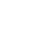 violence-policy