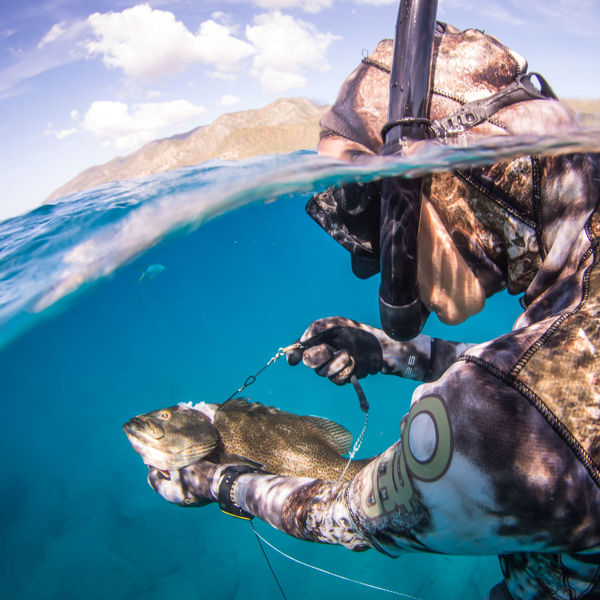 ΠΑΡΑΛΑΒΗ ΑΠΟ ΤΟ ΚΑΤΑΣΤΗΜΑ