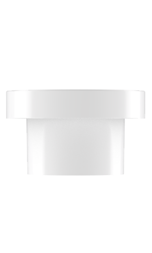 cap_mushroom_small